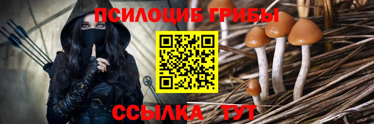 Псилоцибиновые грибы мицелий  Вход с VPN  где продают   Псилоцибиновые грибы ЛСД  Петрозаводск 